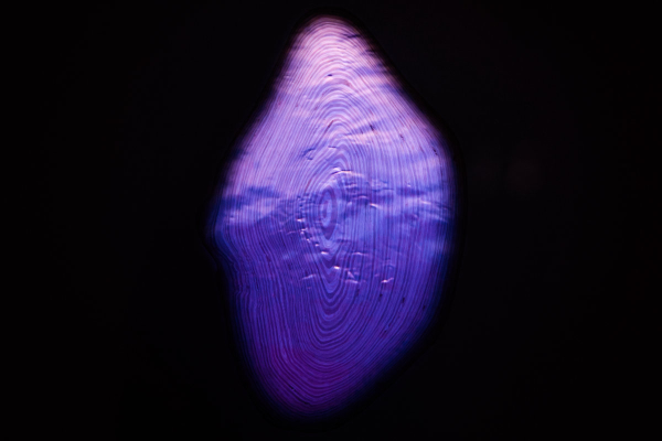Hypersea